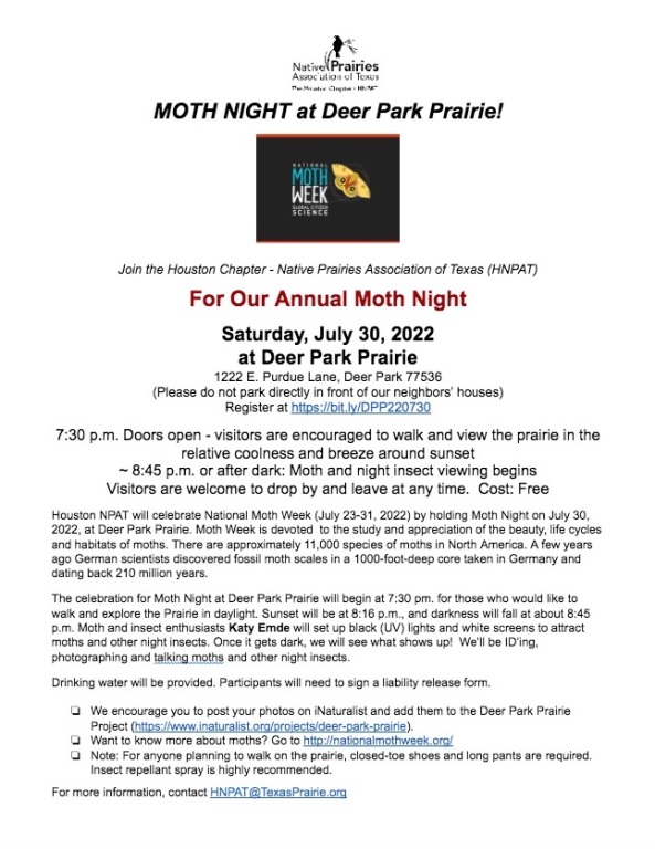 moth night 2022 flyer